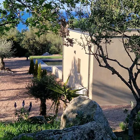 Un Air De Paradis à